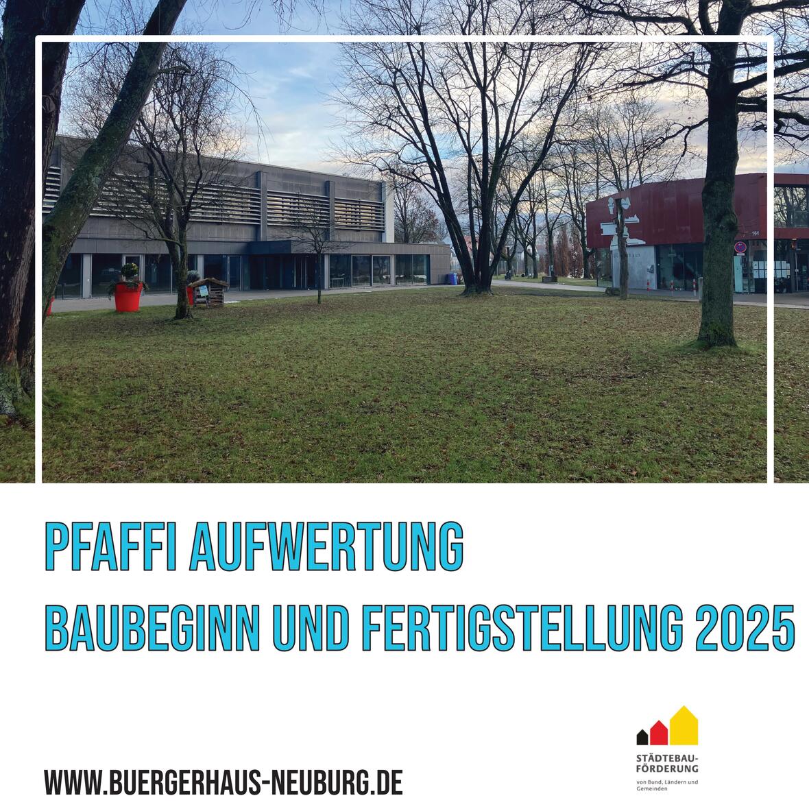 pfaffi